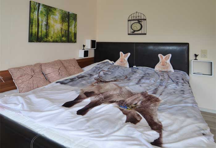HarzFlair wohnung_1 bild 4