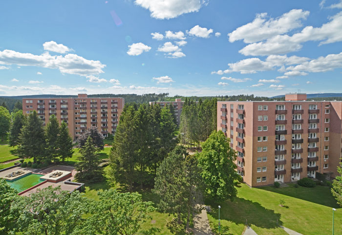 Harzstube wohnung_1 bild 9